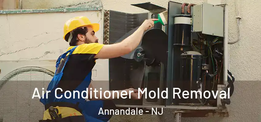 Air Conditioner Mold Removal Annandale - NJ