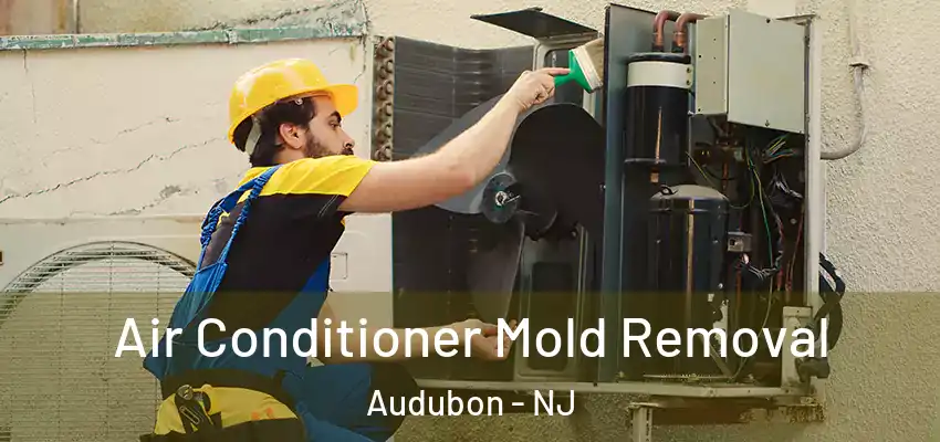 Air Conditioner Mold Removal Audubon - NJ