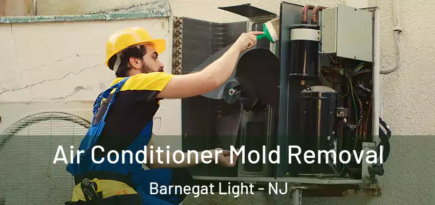 Air Conditioner Mold Removal Barnegat Light - NJ