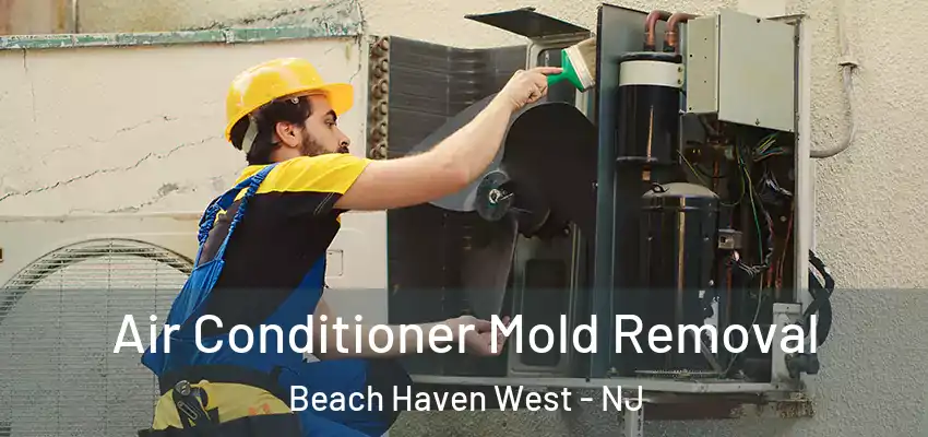  Air Conditioner Mold Removal Beach Haven West - NJ