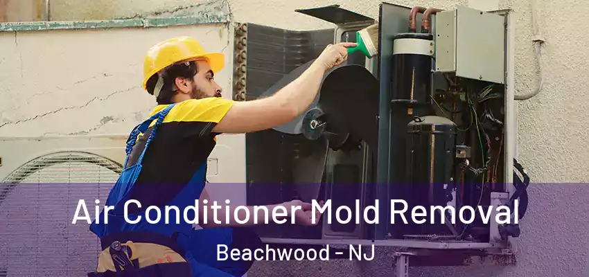  Air Conditioner Mold Removal Beachwood - NJ