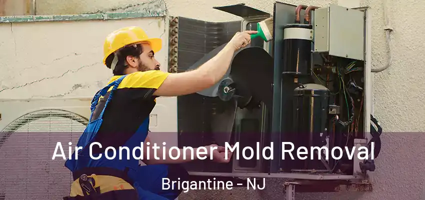 Air Conditioner Mold Removal Brigantine - NJ