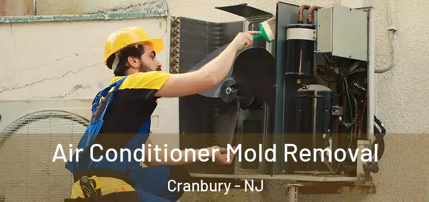  Air Conditioner Mold Removal Cranbury - NJ