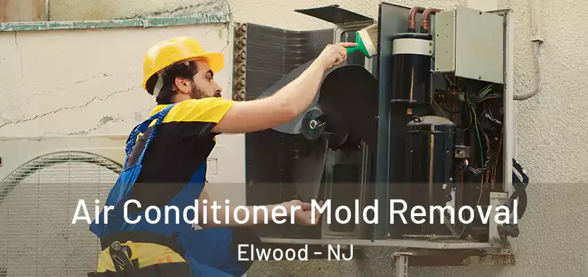 Air Conditioner Mold Removal Elwood - NJ