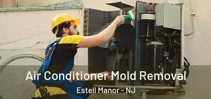 Air Conditioner Mold Removal Estell Manor - NJ