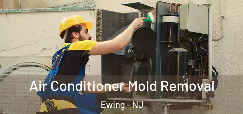 Air Conditioner Mold Removal Ewing - NJ