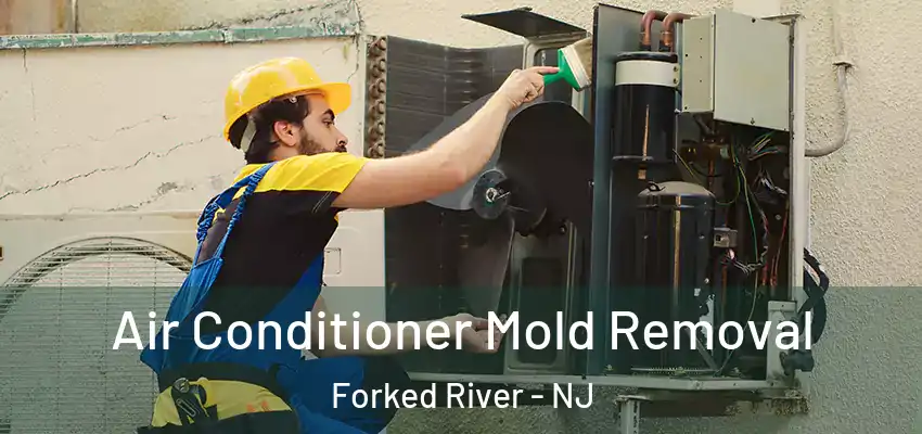  Air Conditioner Mold Removal Forked River - NJ