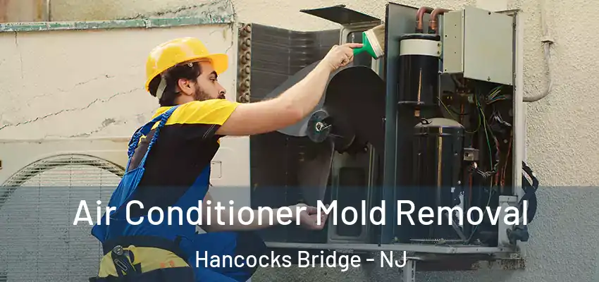  Air Conditioner Mold Removal Hancocks Bridge - NJ