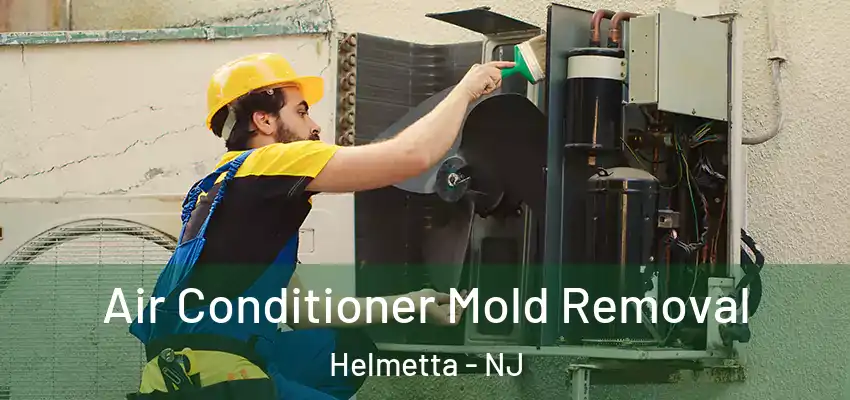  Air Conditioner Mold Removal Helmetta - NJ