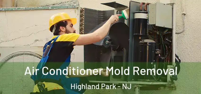 Air Conditioner Mold Removal Highland Park - NJ