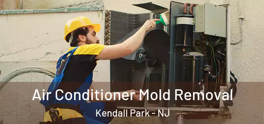  Air Conditioner Mold Removal Kendall Park - NJ