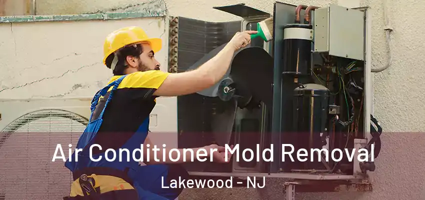 Air Conditioner Mold Removal Lakewood - NJ
