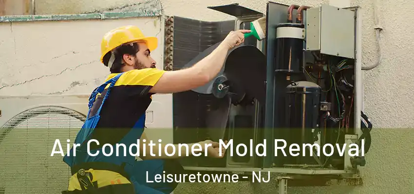  Air Conditioner Mold Removal Leisuretowne - NJ