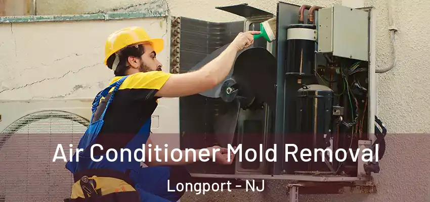 Air Conditioner Mold Removal Longport - NJ