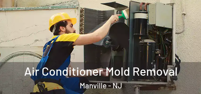 Air Conditioner Mold Removal Manville - NJ