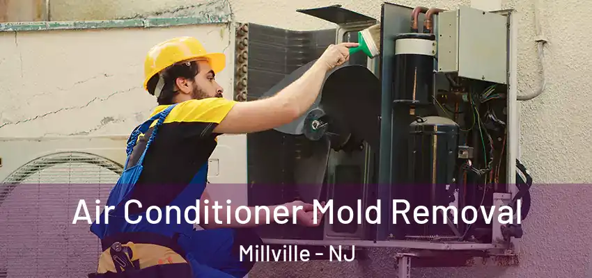 Air Conditioner Mold Removal Millville - NJ