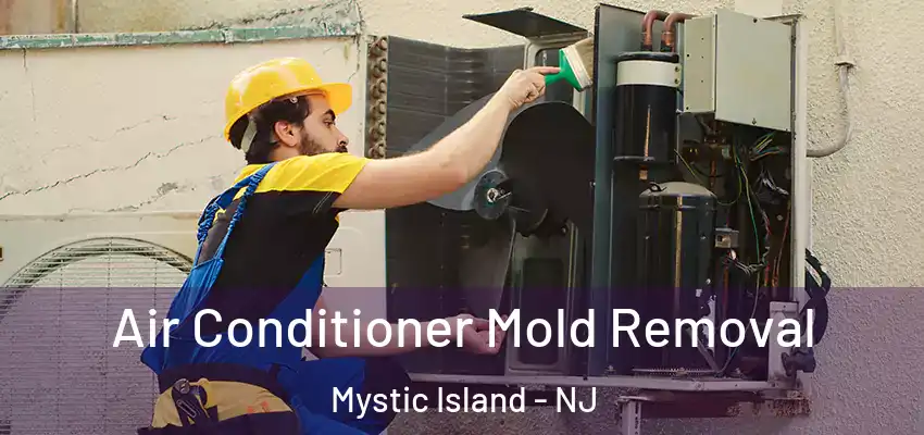 Air Conditioner Mold Removal Mystic Island - NJ