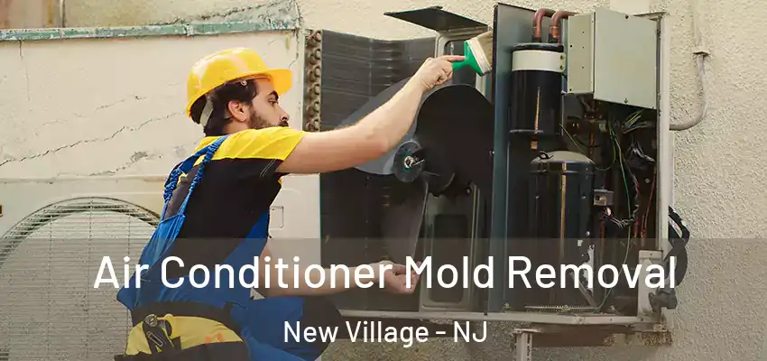 Air Conditioner Mold Removal New Village - NJ