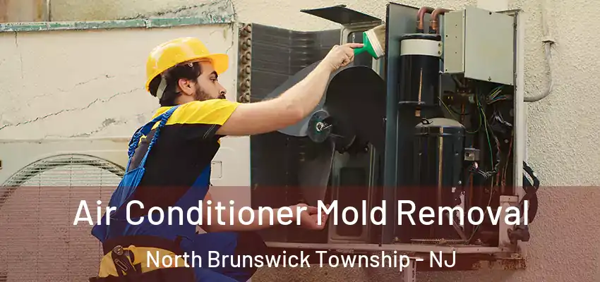 Air Conditioner Mold Removal North Brunswick Township - NJ
