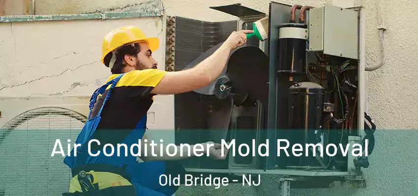  Air Conditioner Mold Removal Old Bridge - NJ