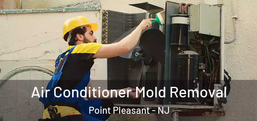 Air Conditioner Mold Removal Point Pleasant - NJ