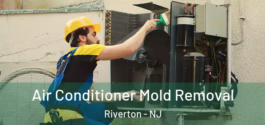 Air Conditioner Mold Removal Riverton - NJ