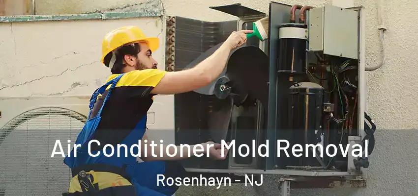  Air Conditioner Mold Removal Rosenhayn - NJ