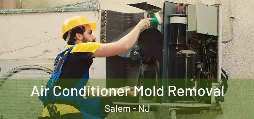  Air Conditioner Mold Removal Salem - NJ