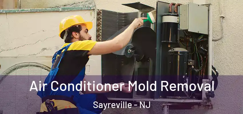  Air Conditioner Mold Removal Sayreville - NJ