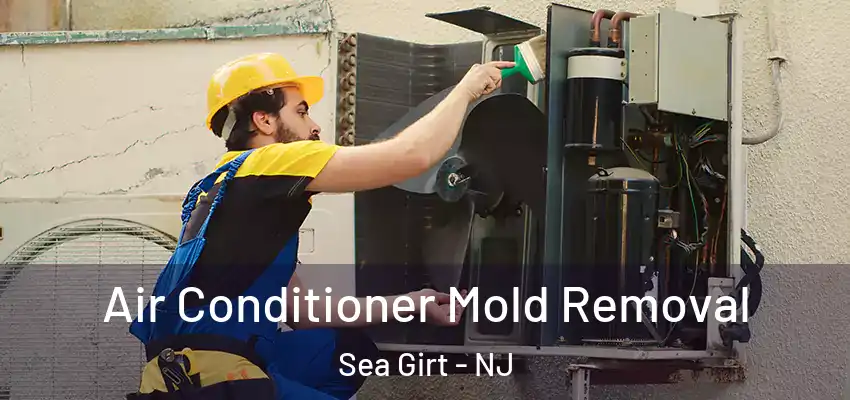 Air Conditioner Mold Removal Sea Girt - NJ