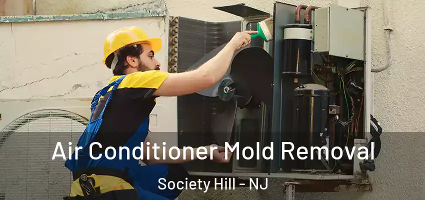 Air Conditioner Mold Removal Society Hill - NJ