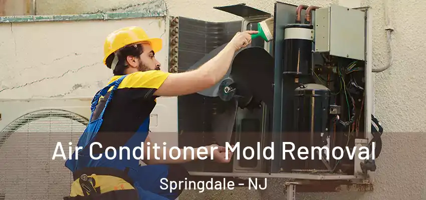  Air Conditioner Mold Removal Springdale - NJ
