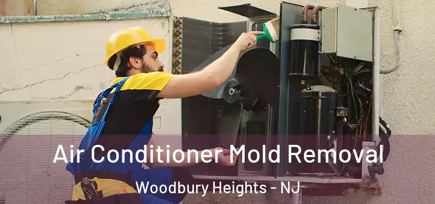  Air Conditioner Mold Removal Woodbury Heights - NJ