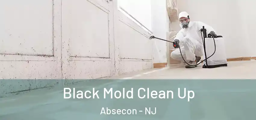 Black Mold Clean Up Absecon - NJ