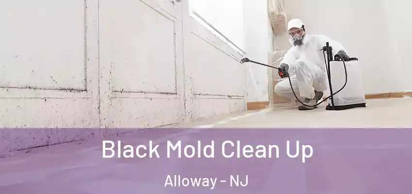  Black Mold Clean Up Alloway - NJ