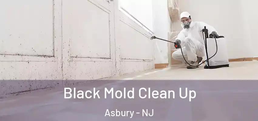  Black Mold Clean Up Asbury - NJ