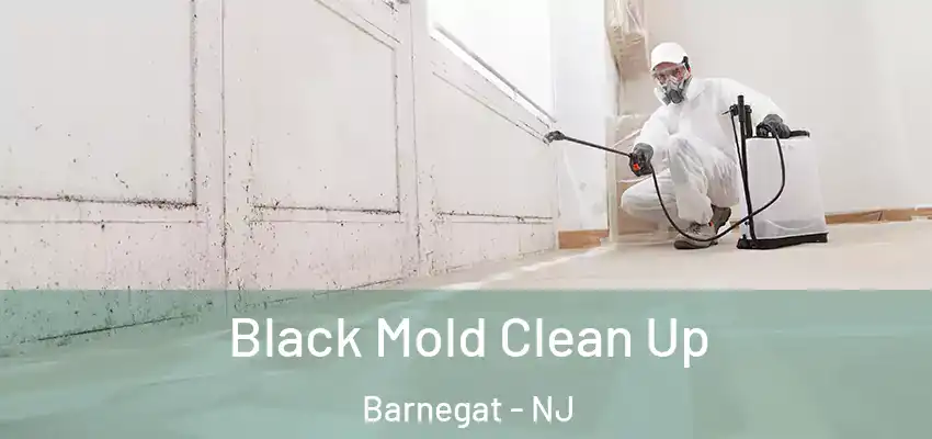 Black Mold Clean Up Barnegat - NJ