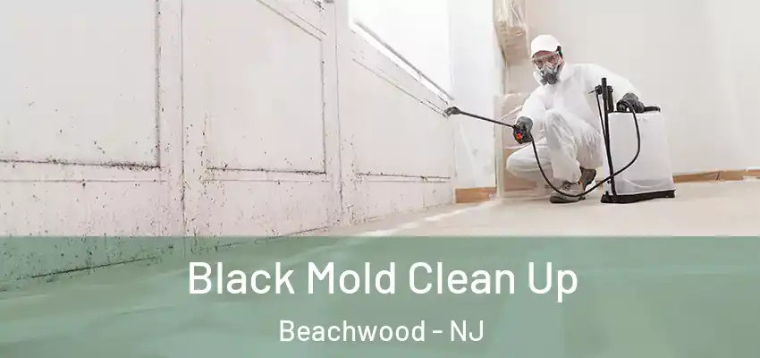Black Mold Clean Up Beachwood - NJ