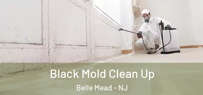Black Mold Clean Up Belle Mead - NJ