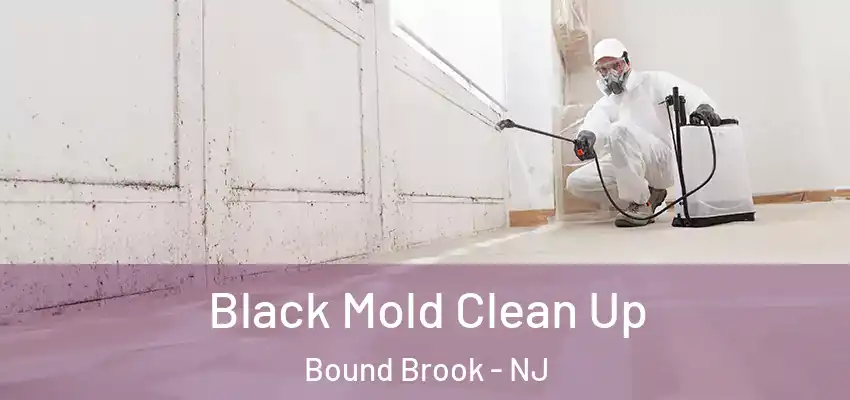  Black Mold Clean Up Bound Brook - NJ