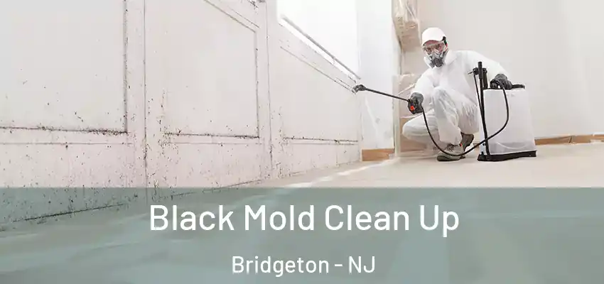 Black Mold Clean Up Bridgeton - NJ