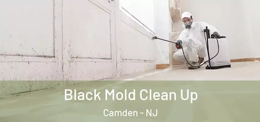 Black Mold Clean Up Camden - NJ
