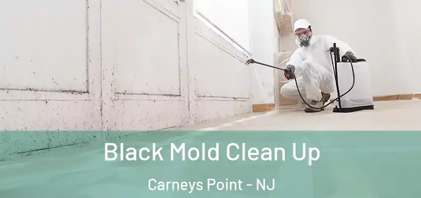 Black Mold Clean Up Carneys Point - NJ