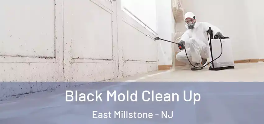 Black Mold Clean Up East Millstone - NJ