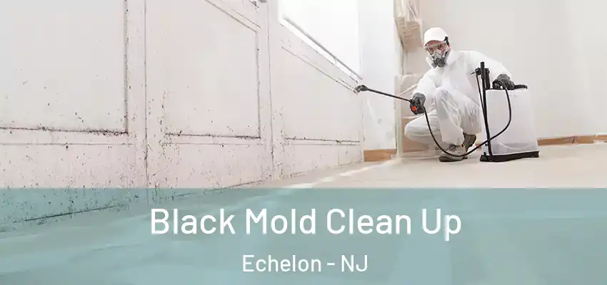 Black Mold Clean Up Echelon - NJ