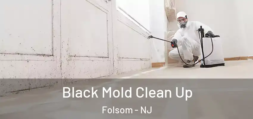 Black Mold Clean Up Folsom - NJ