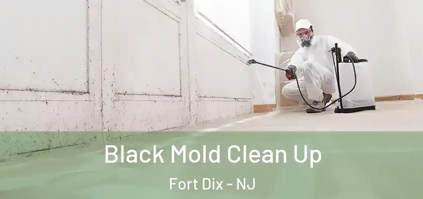  Black Mold Clean Up Fort Dix - NJ
