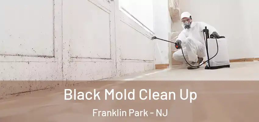  Black Mold Clean Up Franklin Park - NJ