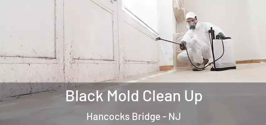 Black Mold Clean Up Hancocks Bridge - NJ