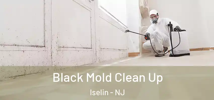 Black Mold Clean Up Iselin - NJ